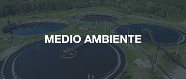 medio-ambiente